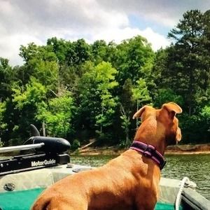 Meet your Posher, Brooks